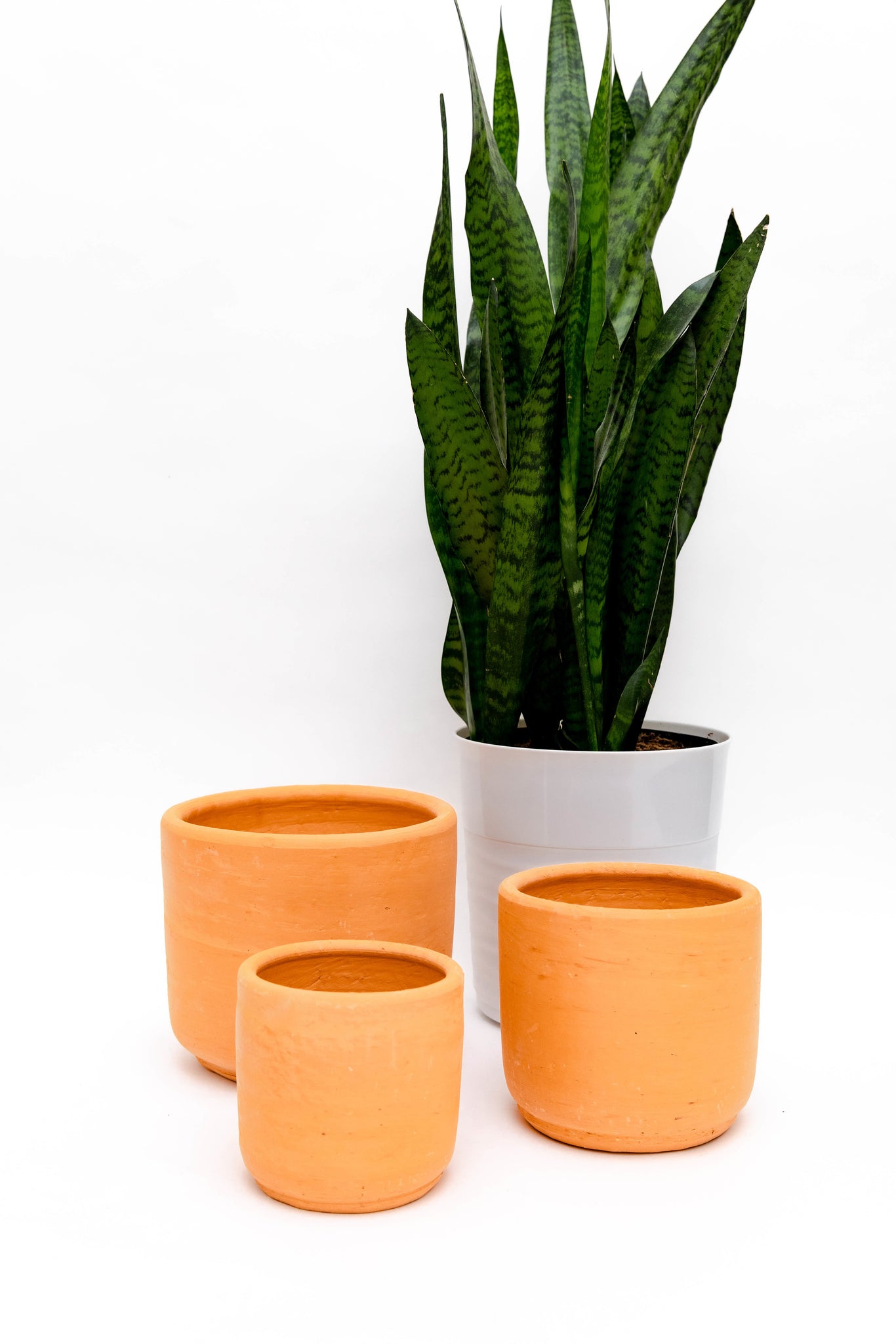 Clay Cactus Pots