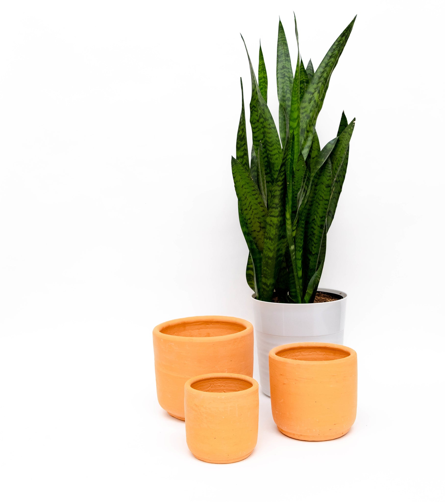 Clay Cactus Pots
